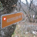320 2067 Kosovelova pot
