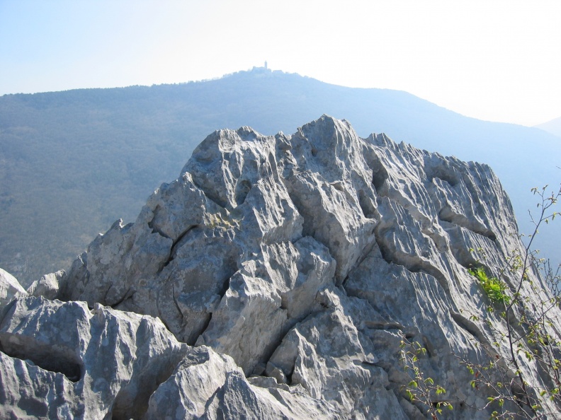161_6138 Žlebaste skale v grebenu Sabotina.JPG