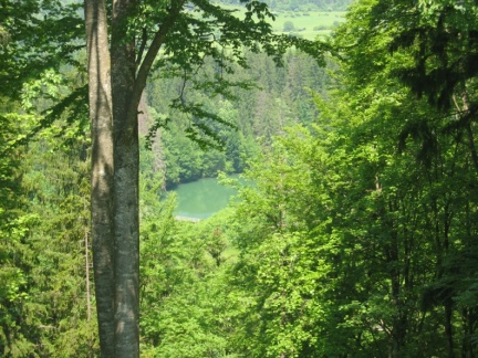 171 7178 Jezero v Kočevski Reki