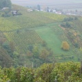 133 3341 Nežni vinogradi Lendavskih goric