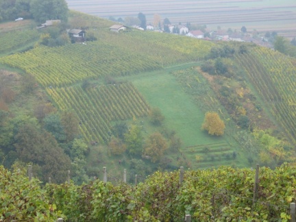 133 3341 Nežni vinogradi Lendavskih goric