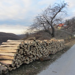 Po poti slovenskega tolarja na Kozjanskem - 12.01.2013