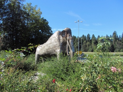 IMG 5192 Kokrica-mamut