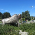 IMG 5194 Kokrica-mamut