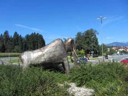 IMG 5194 Kokrica-mamut