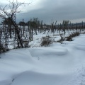IMG 0121 Snežni zameti med Gažonom in Baredi