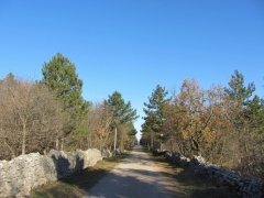 IMG 7255 Cesta Bazovica-Sežana