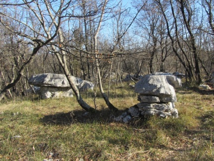 IMG 7281 Živi muzej Krasa-kamniti gobi