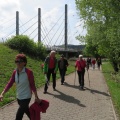 IMG 0441 Harfa-avtocestni most čez Ljubljanico