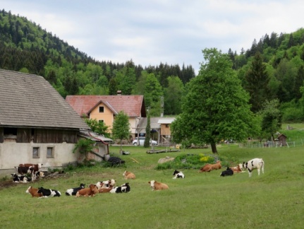 IMG 0788 Kmetija Jurjevič v zaselku Ravne v Borovški dolini