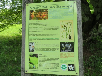 IMG 0901 Sedlo Krempa-info tabla Narcise