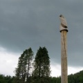 IMG 0936 Maketa orla belorepca ob Reškem jezeru