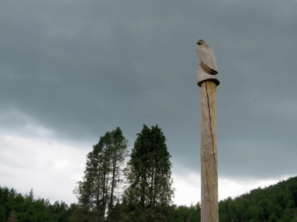 IMG 0936 Maketa orla belorepca ob Reškem jezeru