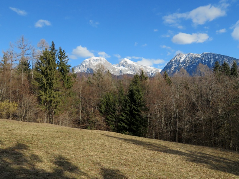 IMG_3252_Pogled na Kočno, Grintovec in Kalški greben s travnika na Apnišču.JPG