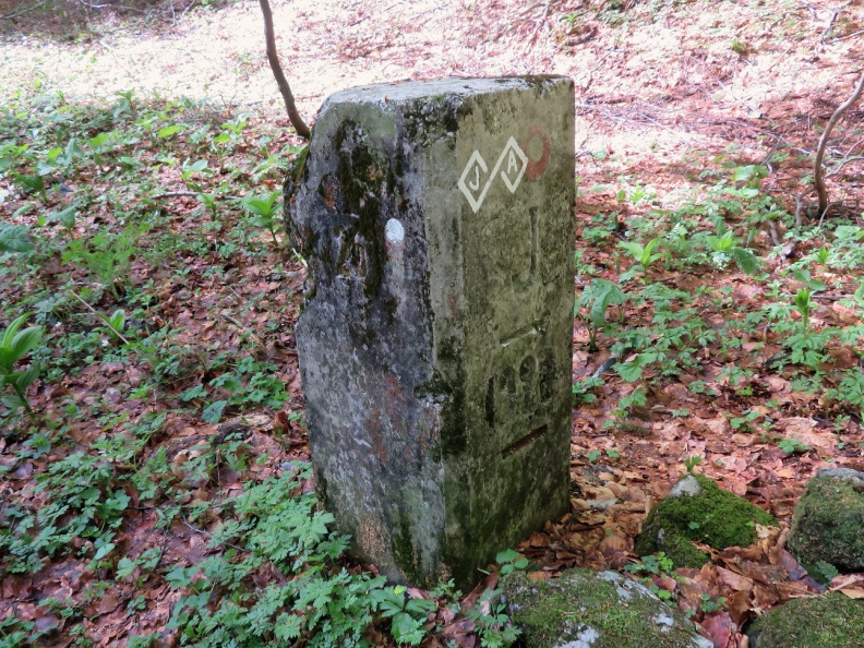 IMG_6001_Mejni kamen na sedlu Vrh Bače.JPG