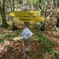 IMG 6008 Žig Juliane trail na sedlu Vrh Bače