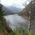 IMG 9340 Rabeljsko jezero (Lago del Predil)