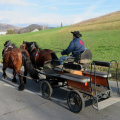 IMG 9865 Šentrupert-na žegnanje konj