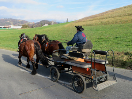 IMG 9865 Šentrupert-na žegnanje konj