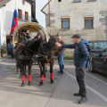 IMG 9880 Šentrupert-žegnanje konj