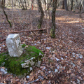 IMG 0289 Mejni kamen ob poti s Kokoši proti Lipici