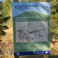 IMG 0918 Info tabla rakiškega jambora ob jezeru Rakitna